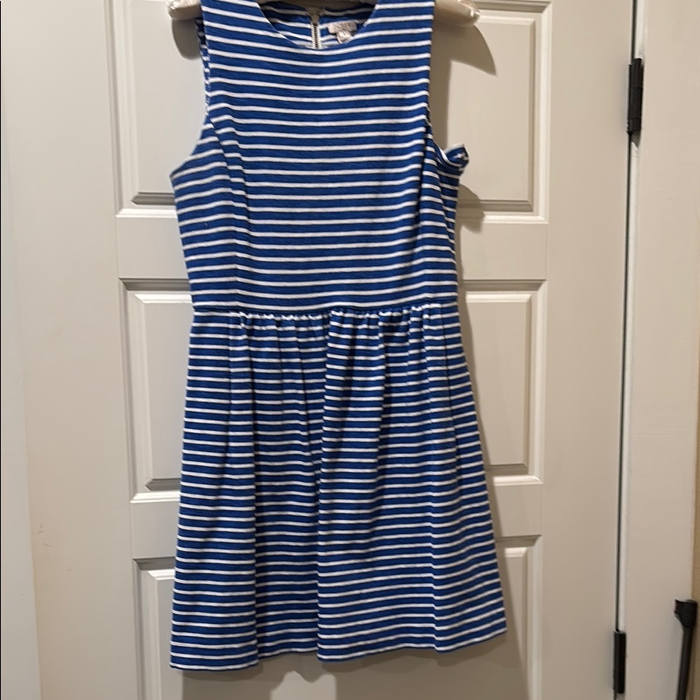 J. Crew Blue and White Daybreak Dress
